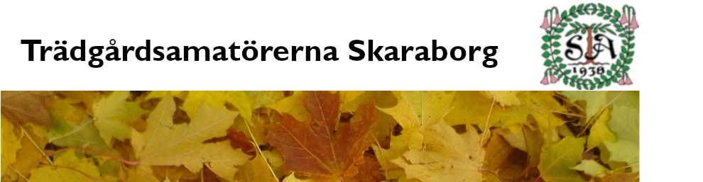 Skaraborgskretsen